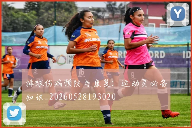 排球伤病预防与康复：运动员必备知识_20260528193020
