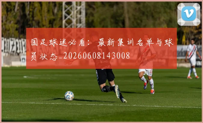 国足球迷必看:最新集训名单与球员状态_20260608143008