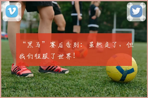 “黑马”赛后告别:虽然走了,但我们征服了世界!